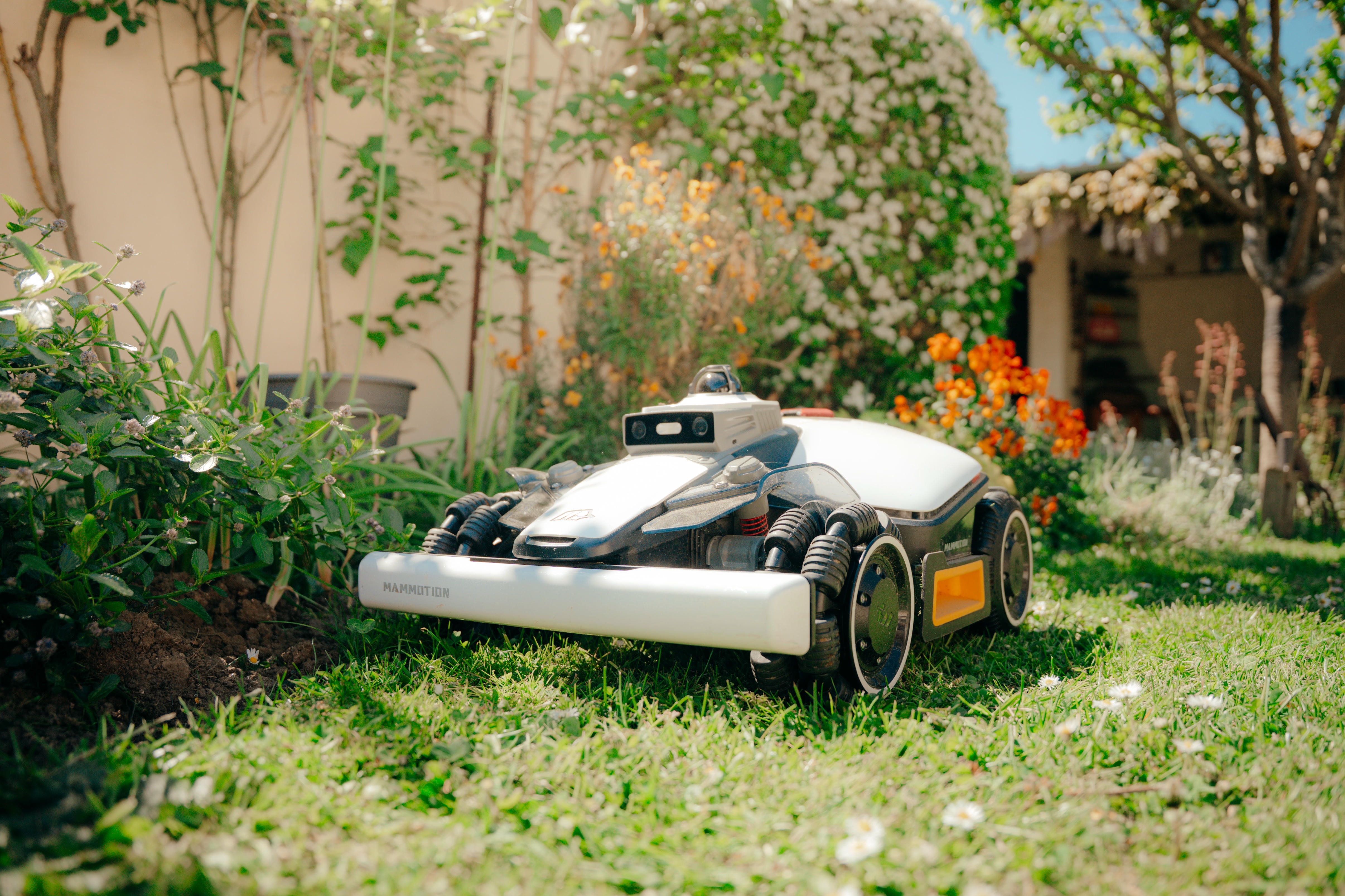 Robotic mower maintaining grass beside a flower bed